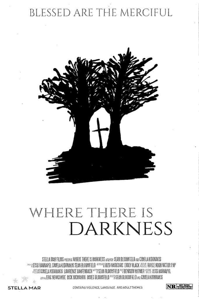 where there is darkness poster (front)